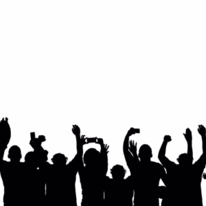 Motion Graphics Videos