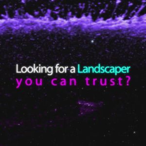 Motion Graphics Landscaper