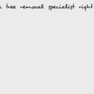 Music Tree Removal give us a call